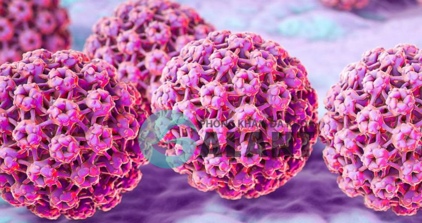 Giải đáp: HPV là bệnh gì? Và căn bệnh sùi mào gà là hpv số mấy gây ra