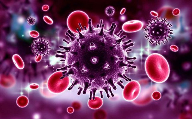 Efavirenz làm chậm hoạt động và sự phát triển của virus HIV
