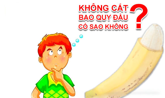 khong cat bao quy dau co sao khong tai sao phai cat bao quy dau