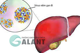 Ăn uống chung với người bị viêm gan B có bị lây nhiễm hay không?