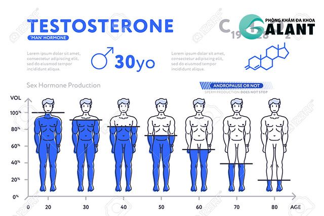 Nam giới nên theo dõi nồng độ testosterone trong cơ thể.