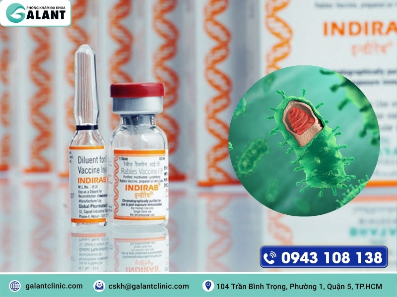 Vắc xin ngừa dại - INDIRAB