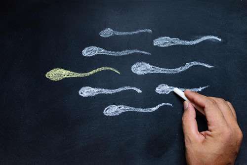 Mỗi lần xuất tinh nam giới có thể sản xuất bao nhiêu tinh trùng? | Vinmec
