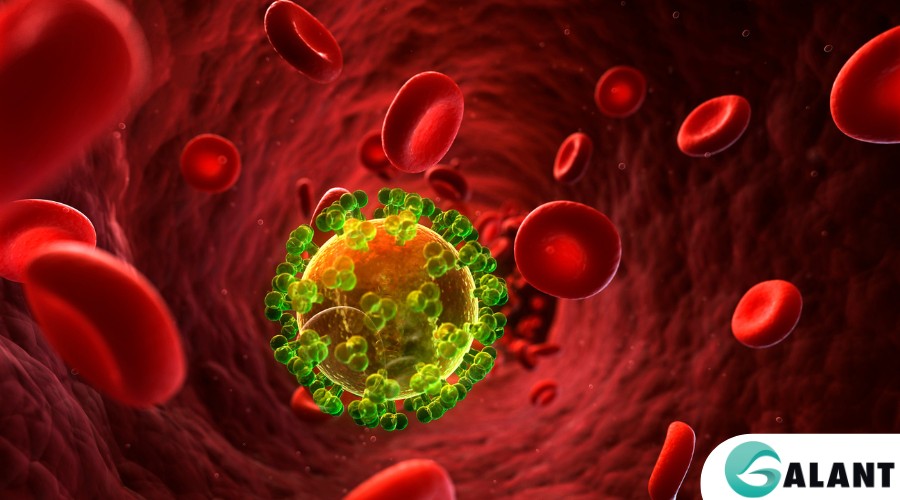 Nhiễm HIV sau 1 năm kiểm tra cho kết quả chính xác không