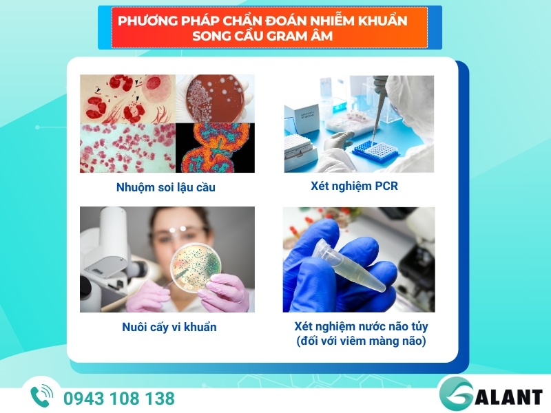 Phương pháp chẩn đoán nhiễm khuẩn song cầu Gram Âm