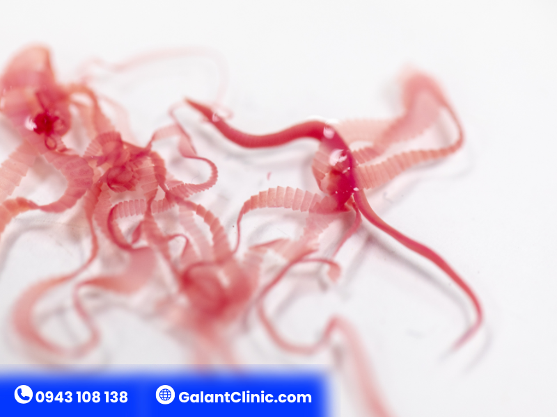 Phòng bệnh giun sán